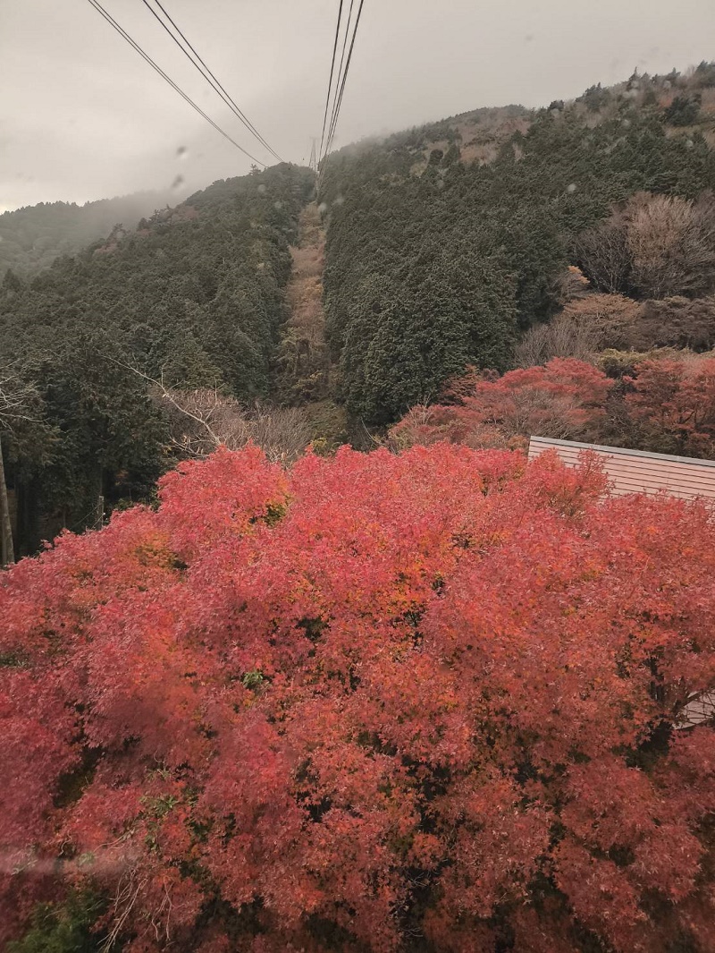 11/23つくば登山に行ってきました10