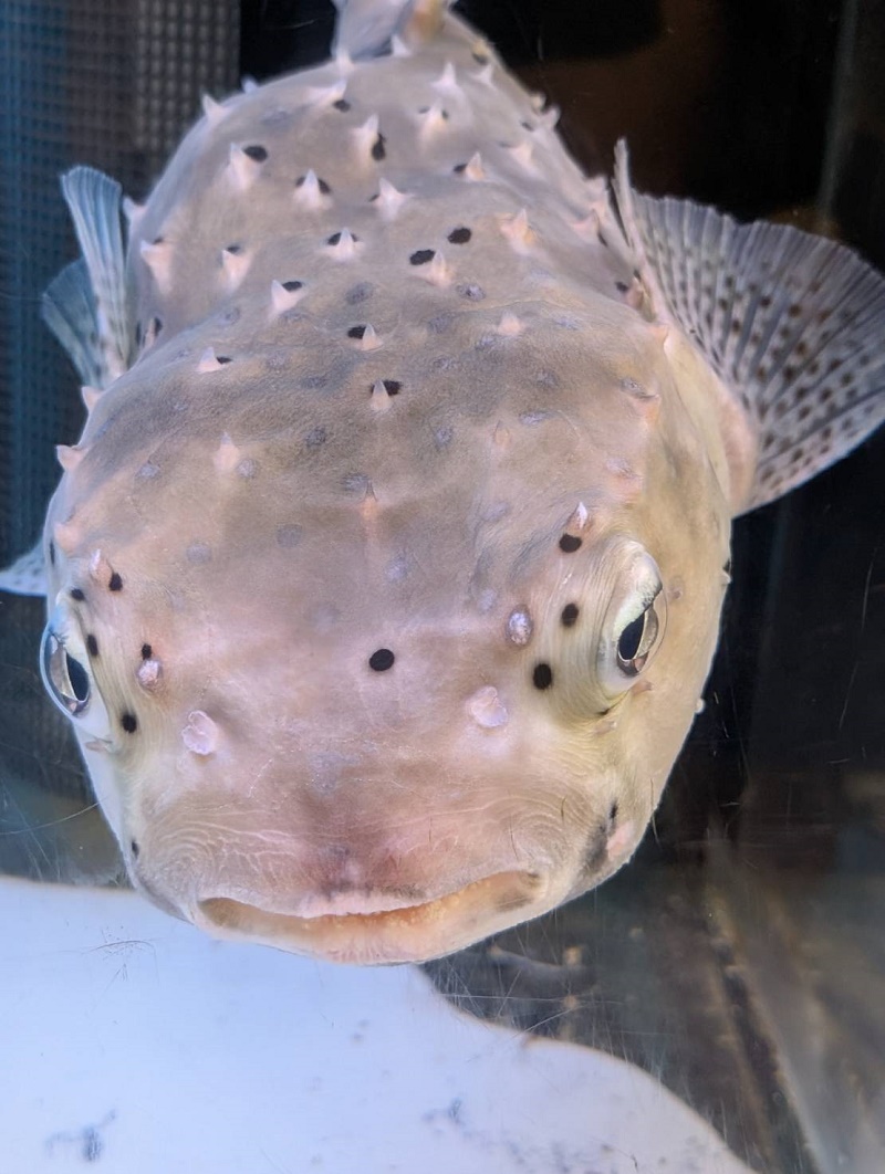 第5弾AKOyagai【海を覗いて見よう!】03